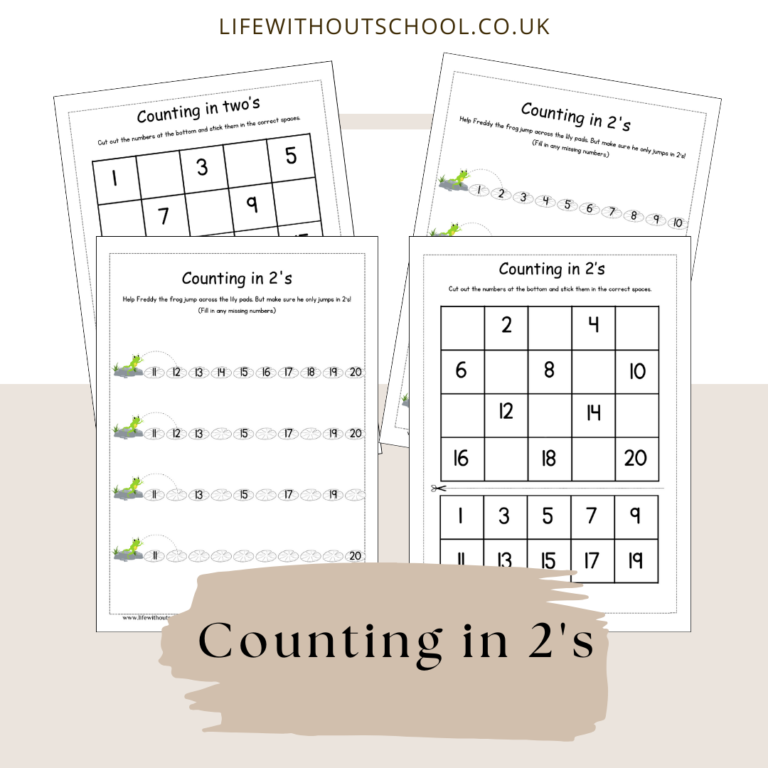 counting in 2s worksheet year 1