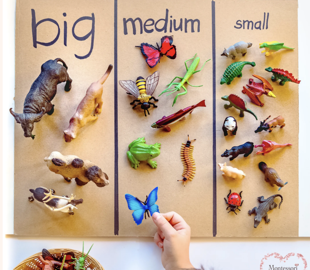 Toddler activity ideas